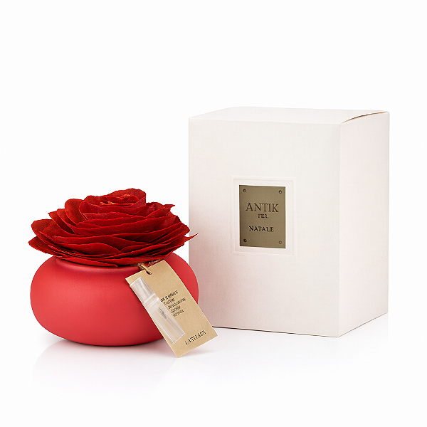 Rosa Natale