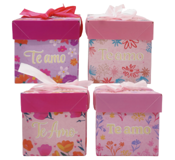 CAIXA DE PAPEL PARA PRESENTE G - TAM: 22X22X22CM