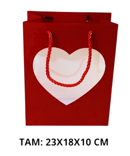 SACOLA PARA PRESENTE M 23X18X10CM