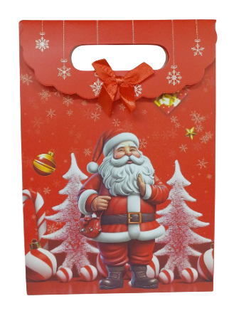 SACOLA DE PRESENTE DE NATAL 19X9X27CM -LC8435 / CHINA