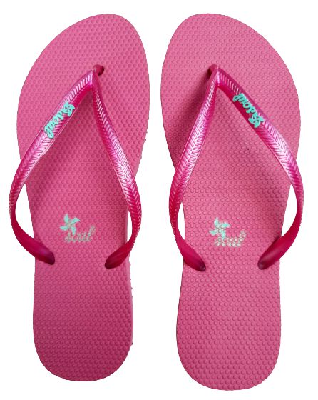 Chinelo Soul Slim Colors Basic