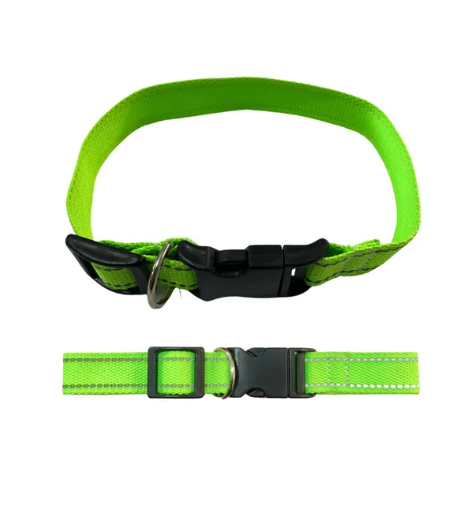 Coleira Neon Dog G com fecho 25mm