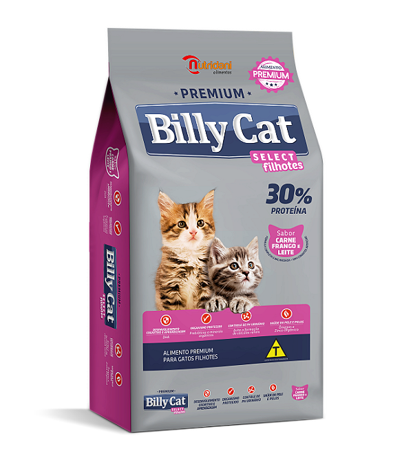 Billy Cat Select Filhotes