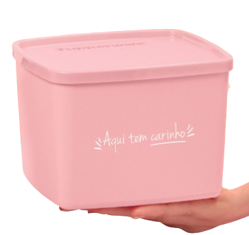 Jeitoso Tupperware Aqui tem Carinho 800 ml