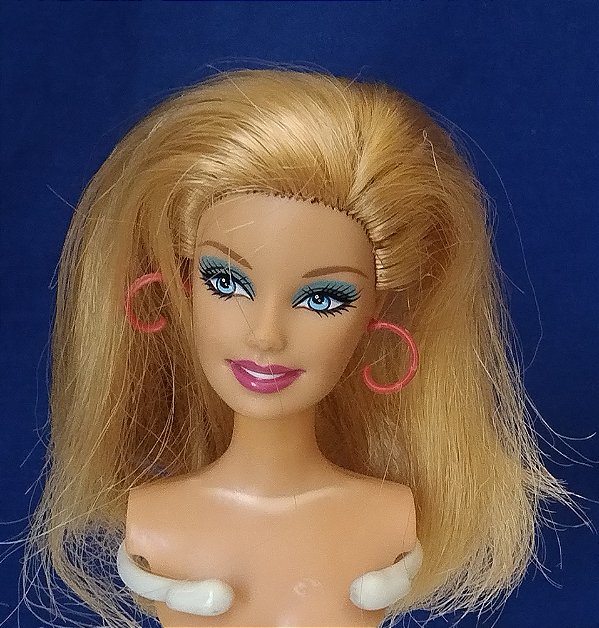 Cabeça com busto somente Barbie fashionistas Cutie swappin syle Mattel 2010