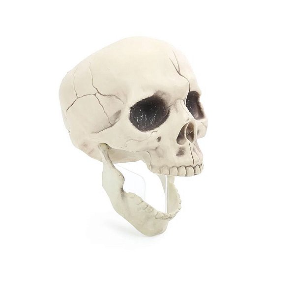 Crânio com Mandibula Fléxivel de Halloween - 1 unidade - Cromus - Rizzo
