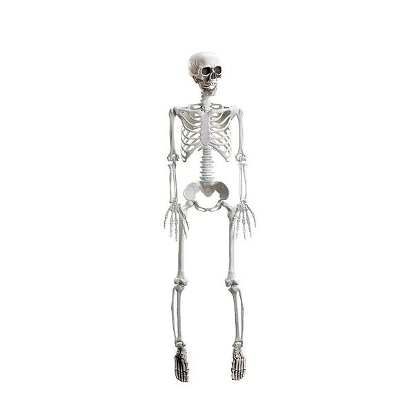 Enfeite Decorativo Halloween - Esqueleto Articulado Xavier - 94cm - 1 unidade - Cromus - Rizzo