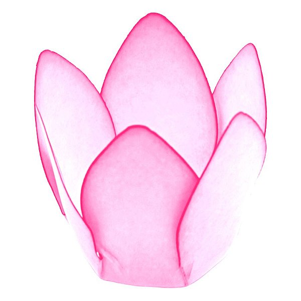 Forminha Para Doces Finos - Monaco - Primavera - 50 unidades - Decora Doces - Rizzo