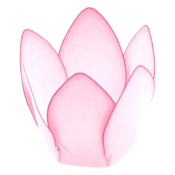Forminha Para Doces Finos - Monaco - Rosa Bebê - 50 unidades - Decora Doces - Rizzo