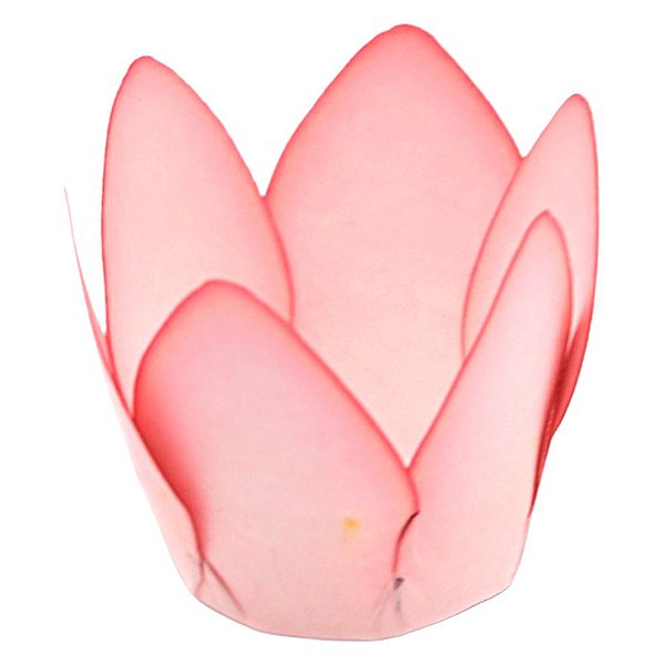 Forminha Para Doces Finos - Monaco - Nude Claro Mate - 50 unidades - Decora Doces - Rizzo