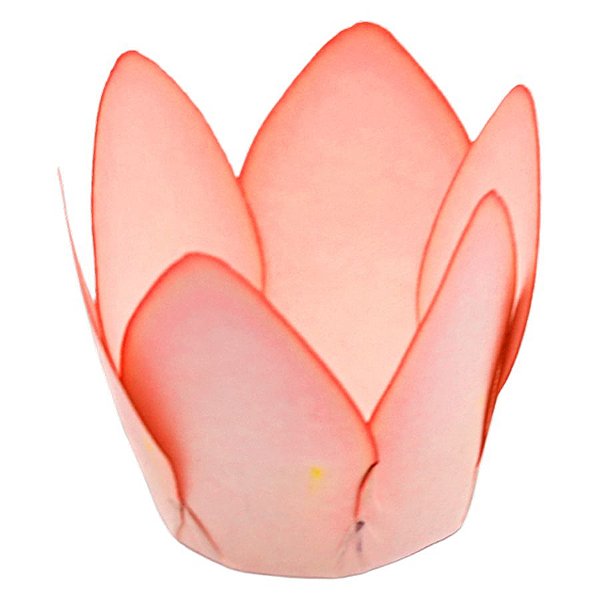 Forminha Para Doces Finos - Monaco - Pessego - 50 unidades - Decora Doces - Rizzo