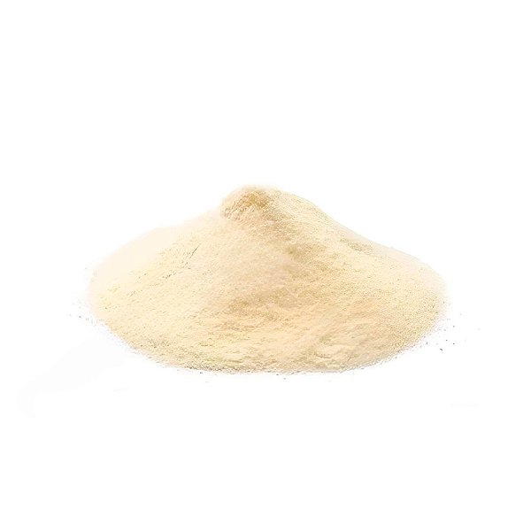 Leite Em Pó 100g - 1 unidade - Rizzo