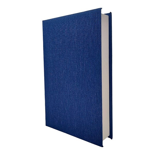 Enfeite Decorativo - Livro Fake Azul Marinho - 27x17cm - 1 unidade - Rizzo - Rizzo
