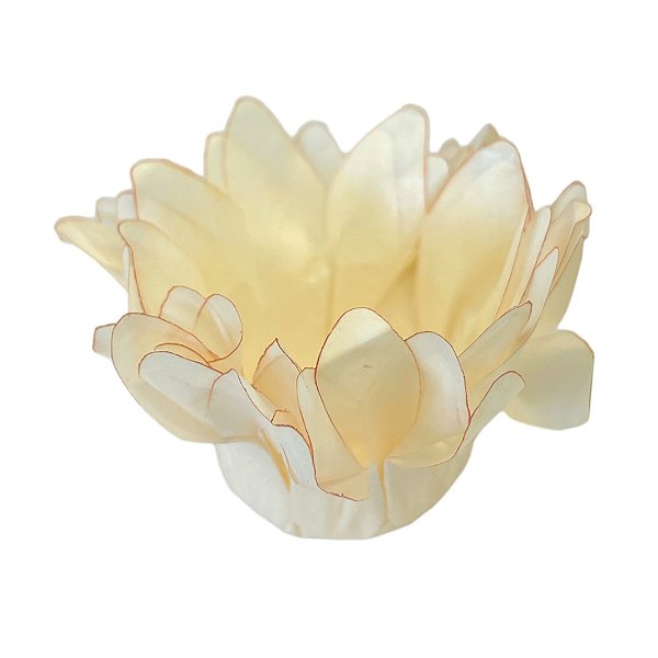 Forminha para Doces Finos - Madri Champagne - 50 unidades - Decora Doces - Rizzo