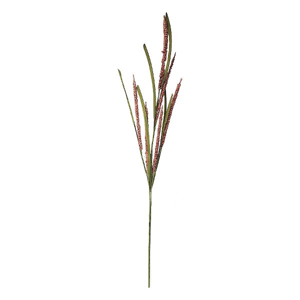 Galho Decorativo - Sorgo - 68cm - 1 unidade - Rizzo