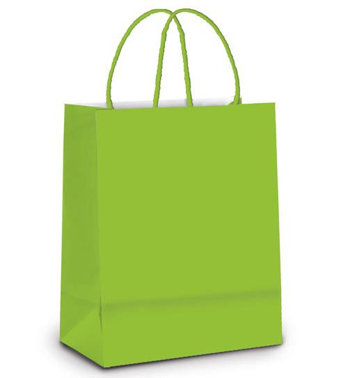 Sacola de Papel GG 39x32x16cm - Verde Claro - 10 unidades - Cromus - Rizzo Embalagens