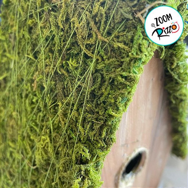 Enfeite para Pendurar - Casa de Passarinho Rústica - 16cm - 1 unidade - Cromus - Rizzo