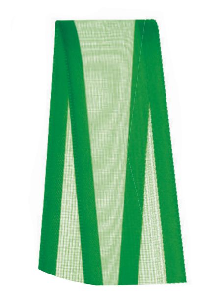 Fita Voal com Cetim Progresso 22mm nº5 - 10m Cor 217 Verde Bandeira - 01 unidade