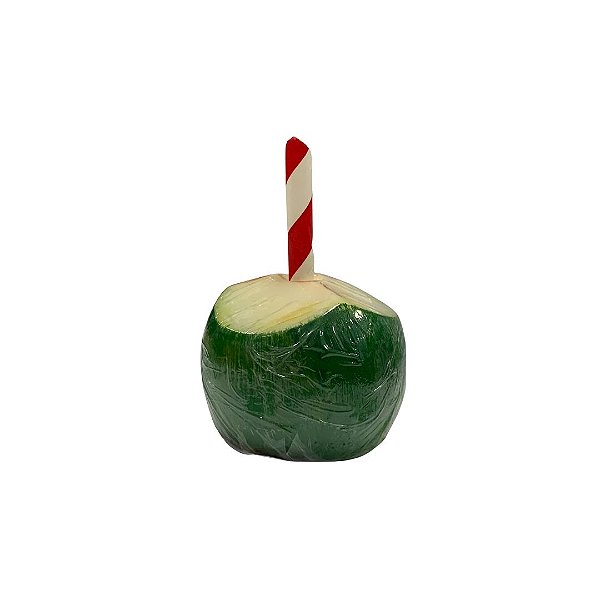 Sabonete Artesanal com Cheiro e Formato de Coco Verde Pequeno - 3,5cm - 1 unidade - Rizzo
