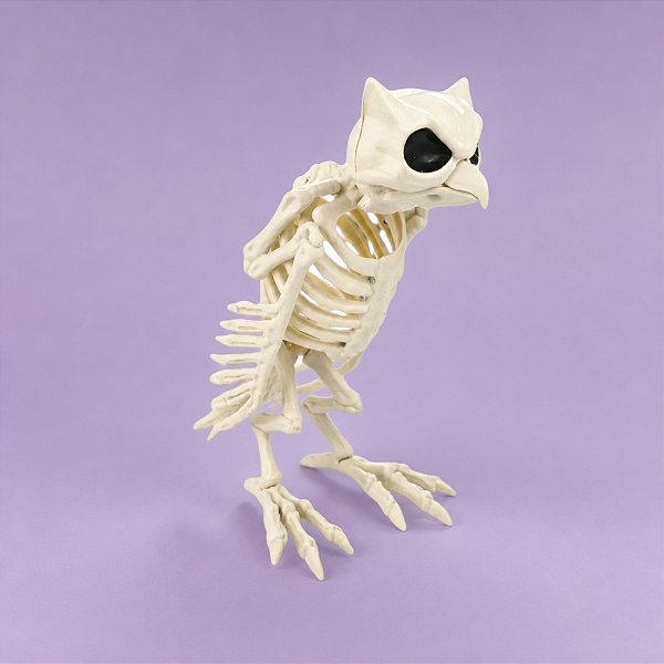 Enfeite Decorativo Halloween - Esqueleto Coruja - 31,5x11cm - 1 unidade - Cromus - Rizzo