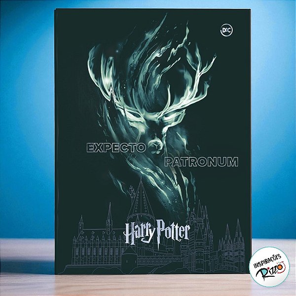 Pasta Catálogo Harry Potter - 10 Envelopes Plásticos - 235x325mm - 1 unidade - Rizzo