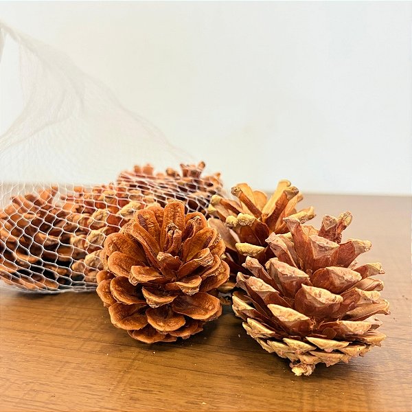 Saquinho com Pinhas - 150g - 8 unidades - Artlille - Rizzo