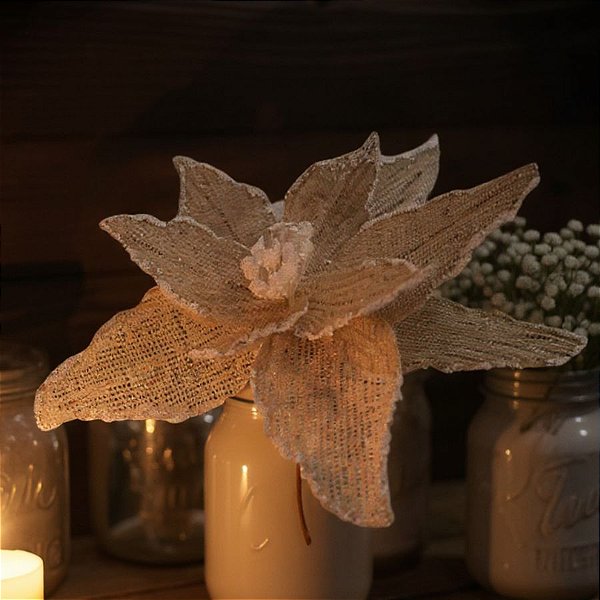 Poinsettia Decorativa - Poa, Cru e Branco - 26cm - 1 unidade - Cromus - Rizzo