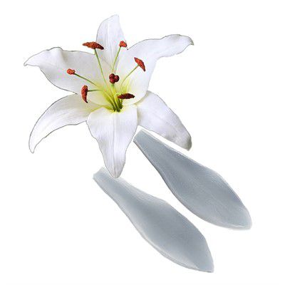 Molde de Silicone Veiner Lírio CD Ref. 547 Flexarte