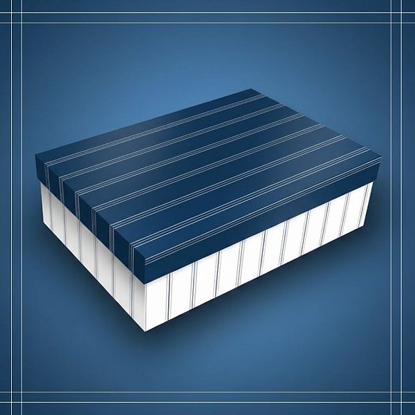 Caixa Retangular com Tampa - Elegance Azul - 27x10x21cm - 5 unidades - Regina - Rizzo