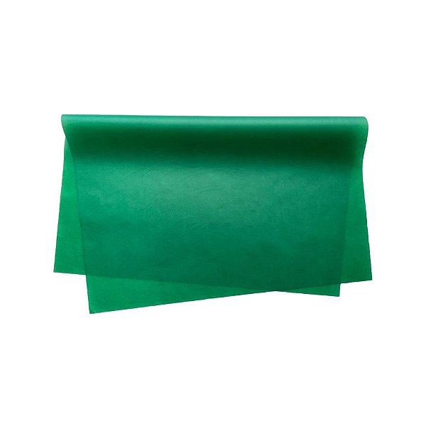 Papel de Seda - 50x70cm - Verde Bandeira - 100 unidades - Rizzo