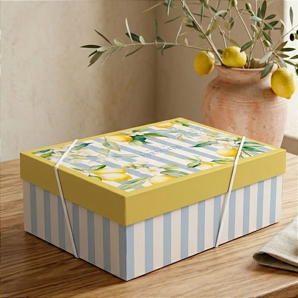 Caixa Retangular Com Tampa e Elástico - Sicília - M 35x25x11cm - 1 unidade - Cromus - Rizzo