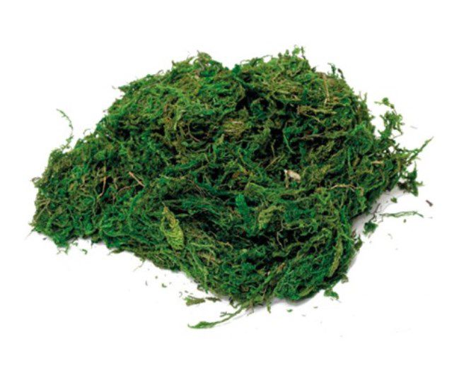 Musgo Decorativo Verde e Marrom Páscoa Rústica - Cromus Páscoa - Rizzo Embalagens