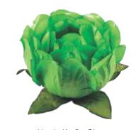 Forminha para Doces Finos - Bela Verde Limão Claro - 40 unidades - Decora Doces - Rizzo Festas