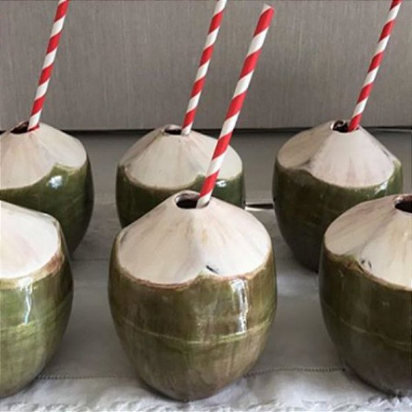 Canudo Biodegradável Listrado Branco e Vermelho - 20 unidades - Rizzo
