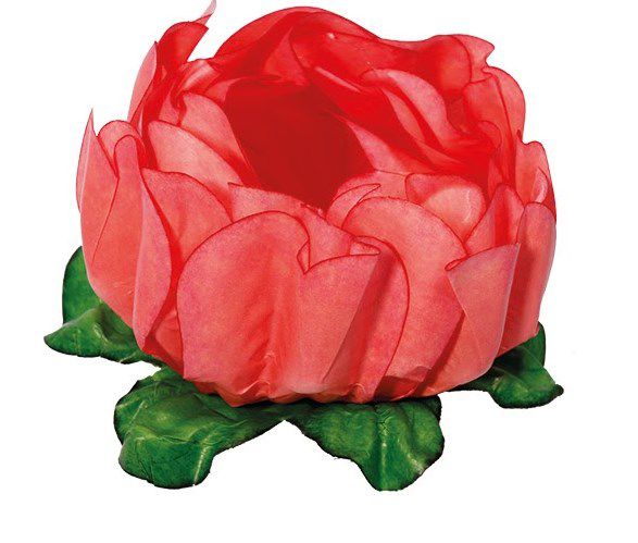 Forminha para Doces Finos - Rosa Maior Coral - 40 unidades - Decora Doces