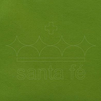 Feltro Liso 30 X 70 cm - Verde Musgo Claro 006 - Santa Fé - Rizzo Embalagens