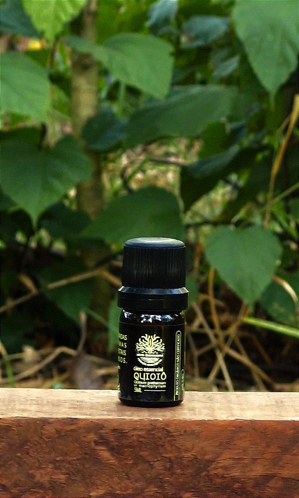 Óleo essencial de Quioiô