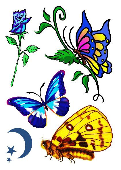 Tatuagem Temporária | Colorida | Flor, Lua e Borboletas