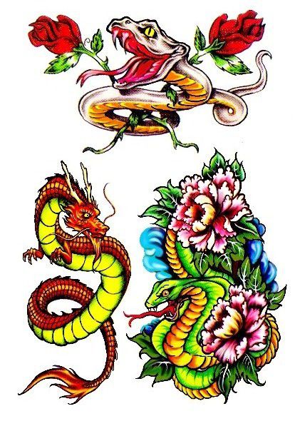 Colorida Cobras e Dragão