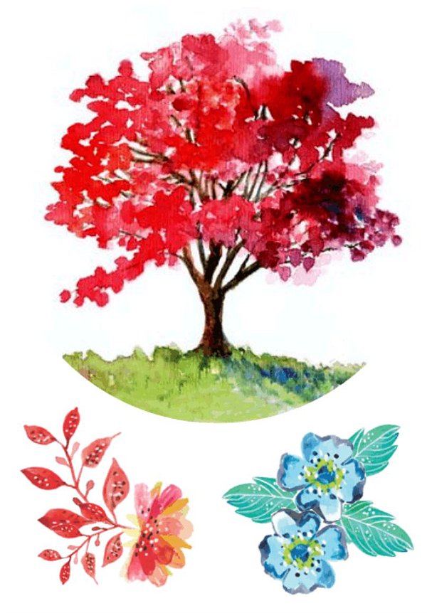 Tatuagem Temporária | Aquarela | Árvore e Flores