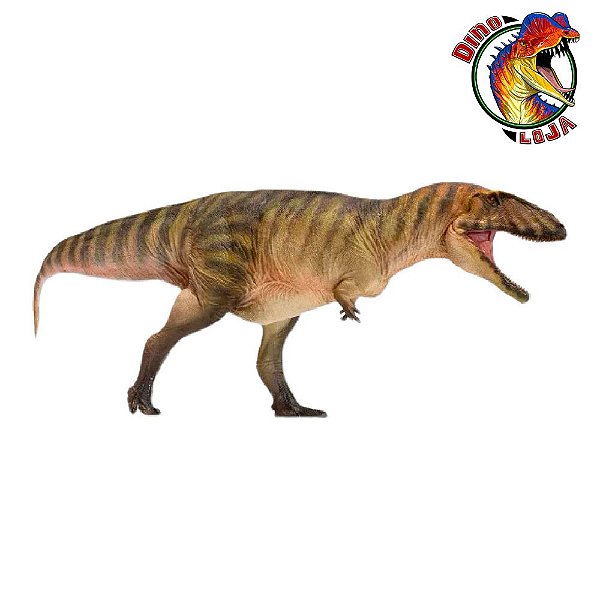 CARCHARODONTOSAURUS PNSO DINOSSAURO CARNÍVORO MODELO CIENTÍFICO CARCARODONTOSSAURO