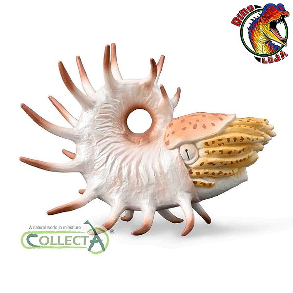 COOPEROCERAS COLLECTA 2022 MINIATURA MOLUSCO NAUTILOIDE COLECIONÁVEL INVERTEBRADO MARINHO