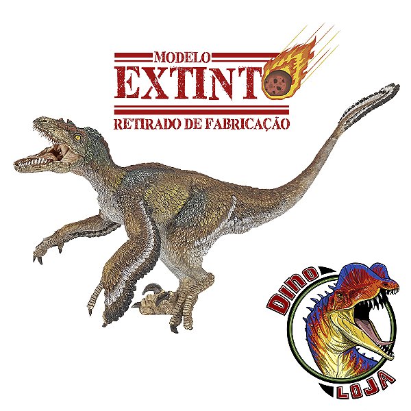 VELOCIRAPTOR PAPO EMPLUMADO [USADO] BRINQUEDO DE DINOSSAURO MINIATURA RÉPLICA IMPORTADA