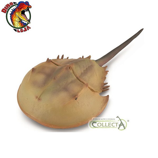 CARANGUEJO-FERRADURA COLLECTA 2020 RÉPLICA DE INTERTEBRADO PRÉ-HISTÓRICO LIMULUS