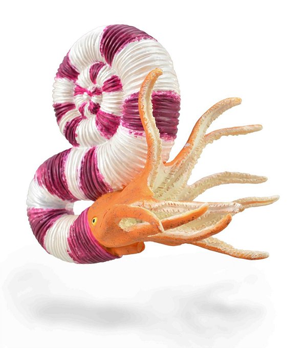 PRAVITOCERAS COLLECTA 2021 MINIATURA INVERTEBRADO EXTINTO COLECIONÁVEL MOLUSCO