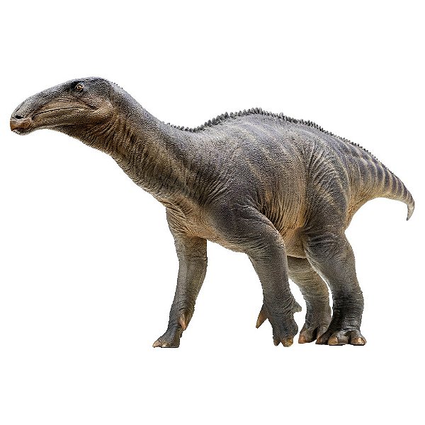 IGUANODON PNSO HARVEY RÉPLICA DE DINOSSAURO COLECIONÁVEL IGUANODONTE