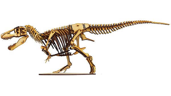 Desenho de Esqueleto tiranossauro rex pintado e colorido por