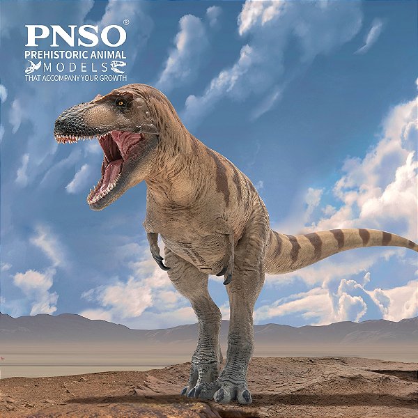 DASPLETOSAURUS PNSO "COLE" RÉPLICA DE DINOSSAURO CARNÍVORO MINIATURA DE PVC