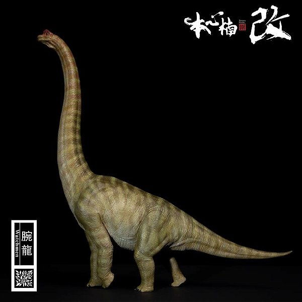 BRACHIOSAURUS NANMU 2022 VERDE JURASSIC PARK 3 FIGURA DINOSSAURO DE COLEÇÃO BRAQUIOSSAURO "WATCHMEN"