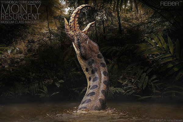 TITANOBOA "MONTY" REBOR MINIATURA COBRA GIGANTE DEVORANDO CROCODILO SERPENTE